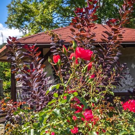 U Rybaka Apartman Braniewo Kültér fotó