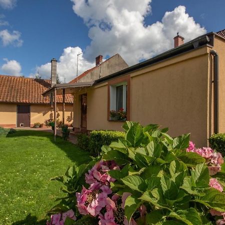 U Rybaka Apartman Braniewo Kültér fotó